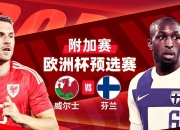 爱游戏登录入口-威尔士抵御芬兰队的压力，取得胜利