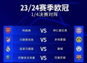 爱游戏app下载-奥地利国家队表现出色，成功晋级欧锦赛八强的简单介绍