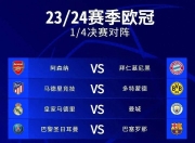 爱游戏app下载-奥地利国家队表现出色，成功晋级欧锦赛八强的简单介绍