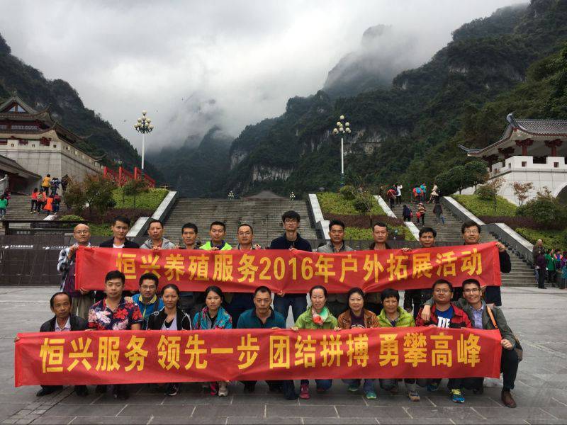 包含全队的团结合作才能战胜一切困难,谁能领先一步?的词条 包含全队的团结合作才能战胜一切困难,谁能领先一步?的词条